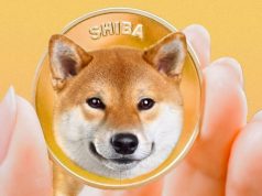 Shiba Inu