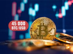 Phe bò Bitcoin tìm cách đẩy giá lên trên 45.000 đô la để xác nhận sự đảo ngược xu hướng tăng giá