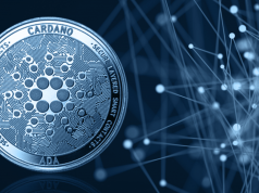 cac-giao-dich-lon-tren-cardano-tang-gap-50-lan-vao-nam-2022