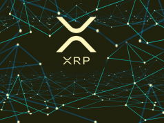 xrp-bung-no