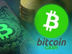 Bitcoin Cash bch