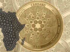 Cardano