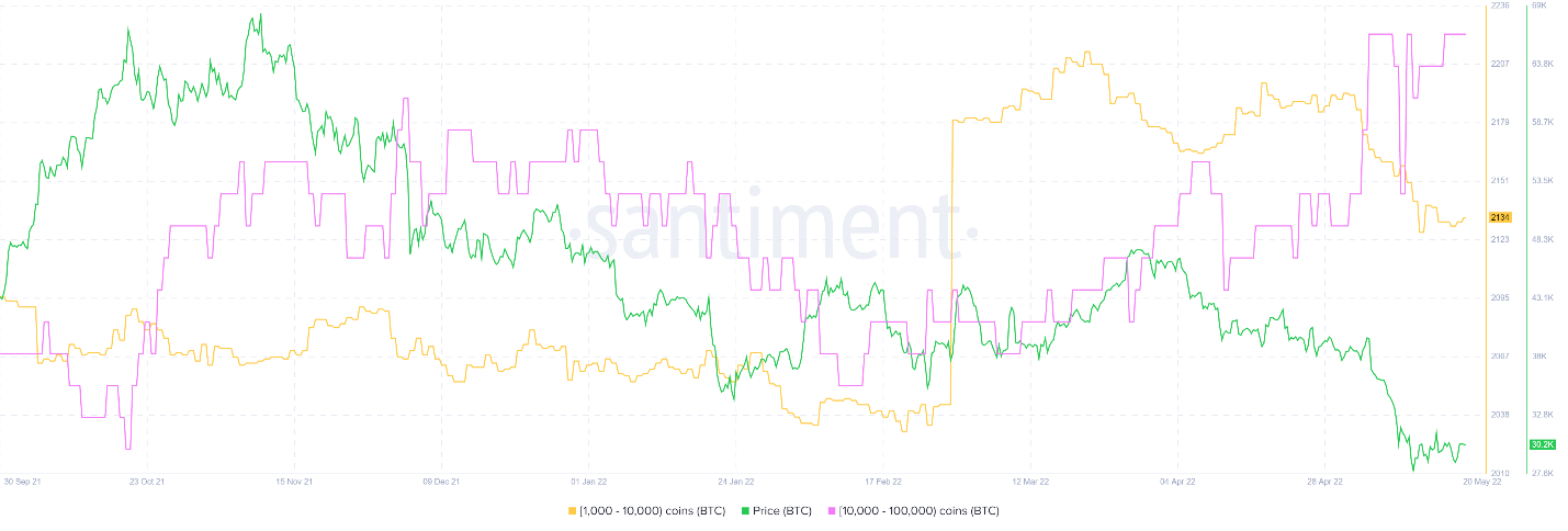 Bitcoin 2