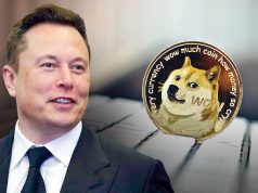 Giá Dogecoin tăng gần 15%