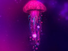 SOL, MATIC và hai đối thủ Ethereum sẽ rơi vào trạng thái “ngàn cân treo sợi tóc” một khi hỗ trợ bị đánh sập