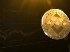 BNB tăng hơn 33% trong vòng 24 giờ khi thị trường tiền điện tử bắt đầu phục hồi – Đây là những lý do tiềm năng