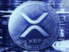 xrp-tang