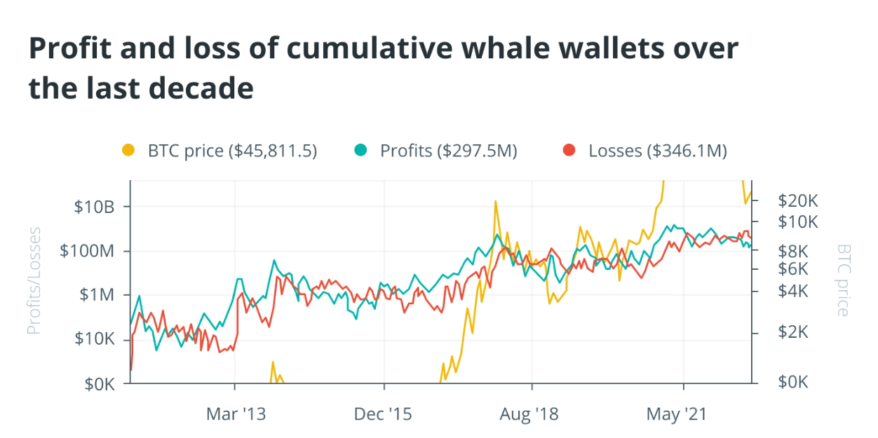 Cách cá voi Bitcoin tạo ra sự chú ý trên thị trường và di chuyển giá
