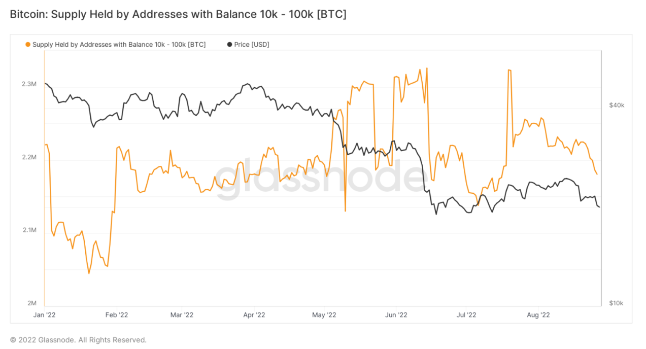 Dữ liệu cho thấy cá voi Bitcoin đang bán tháo
