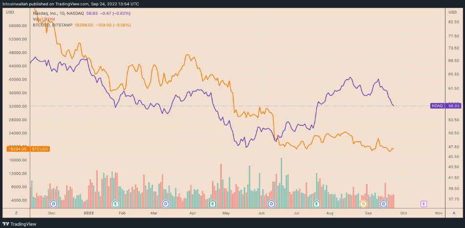 gia-coin-hom-nay-25-09