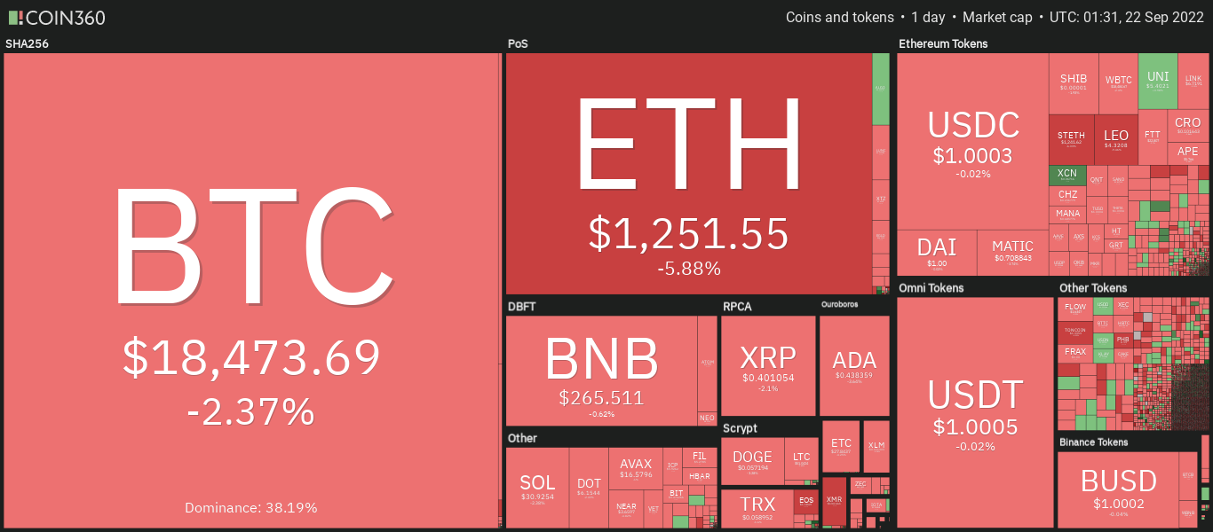 gia-coin-hom-nay-22-09