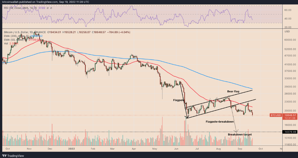 gia-coin-hom-nay-20-09