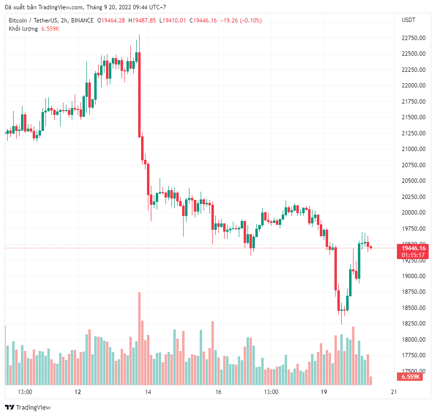 Long đáy Bitcoin và chờ đợi? 