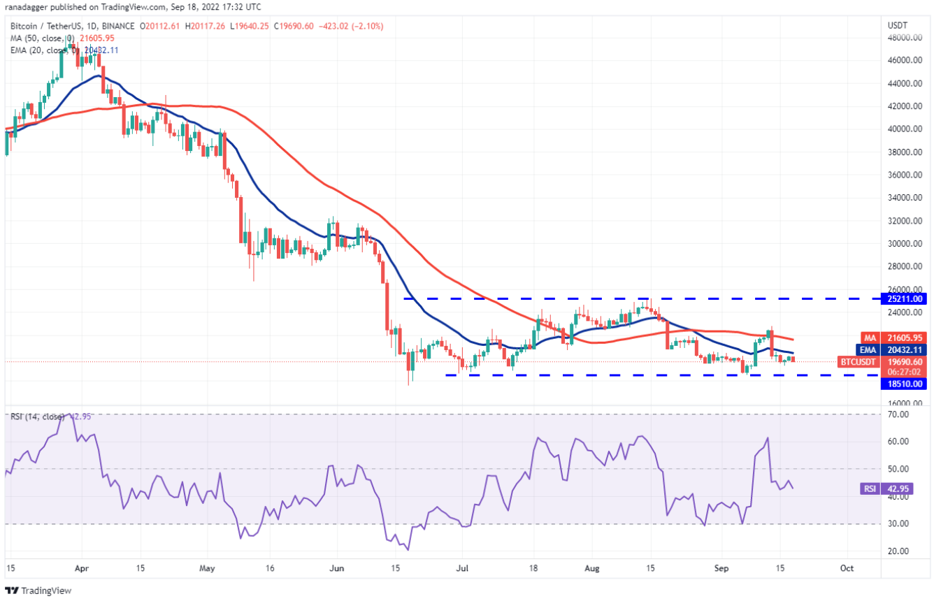 btc-altcoin