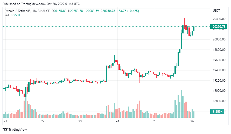 gia-coin-hom-nay-26-10