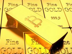 Tin vắn Crypto 06/10: Bitcoin đang dần trở thành “vàng kỹ thuật số” cùng tin tức USDC, Terra, Shiba Inu, Acala, Binance, Yuga Labs, MuesliSwap tin-van-crypto-06-10