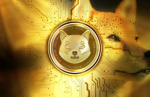Shiba Inu có thể sẽ phục hồi vào năm 2023 shib-but-pha