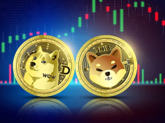 Dự đoán giá DOGE và SHIB: Chuẩn bị cho đợt phục hồi mạnh mẽ doge-shib