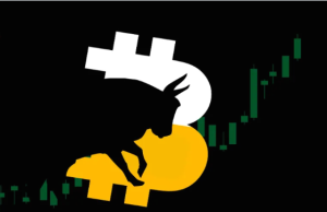 Tin vắn Ctypyo 26/12: Bitcoin có thể tăng gấp đôi giá trị trong 2023 cùng tin tức Ripple, Solana, Shiba Inu, Cardano, Octopus Network, Rubic Exchange