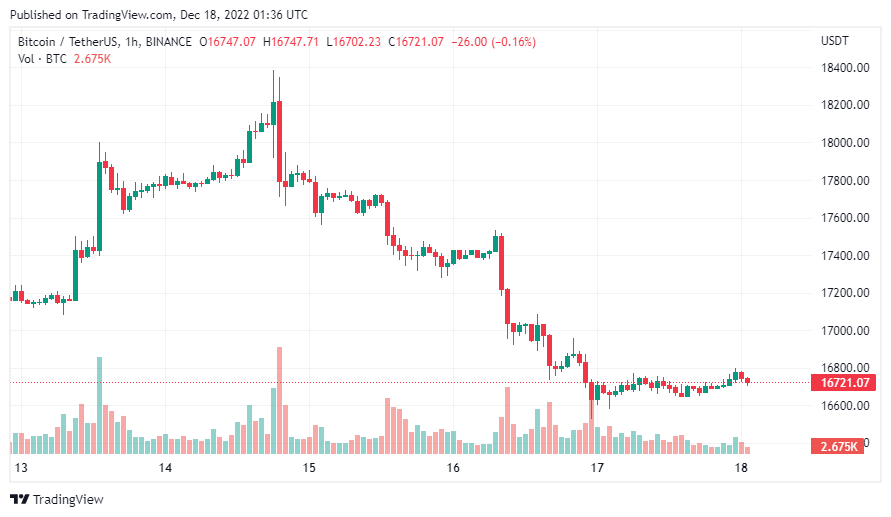 gia-coin-hom-nay-18-12