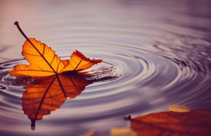 Dự đoán giá XRP và các mốc thời gian cho vụ kiện Ripple-SEC 2023 XRP