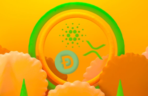 ADA, DOGE, XRP và 6 altcoin này được tìm kiếm nhiều nhất trên Google trong năm 2022 ada-doge-xrp