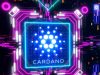 hop dong thong minh cardano