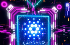 Cardano đã làm được những gì trong năm 2022? hop dong thong minh cardano