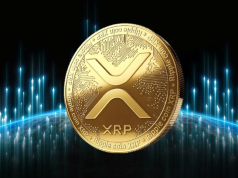 xrp-da-tang