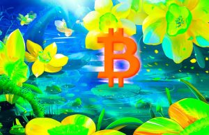 Bitcoin có khả năng sẽ tăng cao hơn trong tuần này Bitcoin