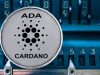 Cardano