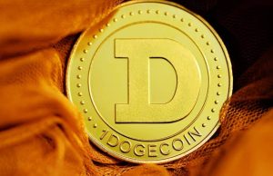 Long DOGE? Đây là những gì bạn cần biết DOGE