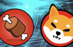 ShibaSwap là gì? ShibaSwap