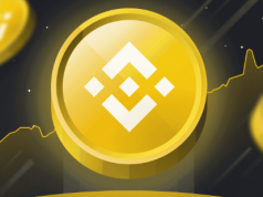 Binance Coin (BNB) tăng vọt nhờ tin tức mua lại sàn Gopax bnb-tang