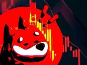 BONK giảm 50% từ ATH – Solana sắp điều chỉnh?