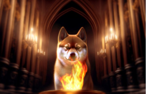 Team Bonk Inu (BONK) đốt toàn bộ 5 nghìn tỷ token được phân bổ ban đầu