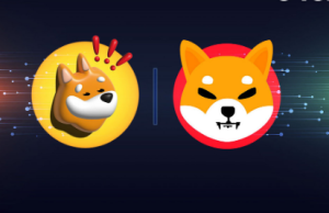 Đại chiến memecoin: SHIB hay BONK sẽ giành ngai vàng cường điệu?