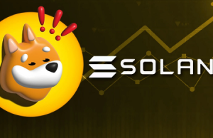 Bonk nhảy vọt 380%, SOL tăng 30% trong 3 ngày đầu năm – Sự cường điệu đang đi quá đà?