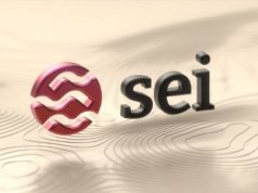 Sei Network thành lập Sei Foundation