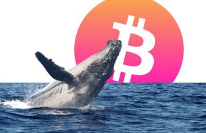 Arthur Hayes, đồng sáng lập BitMEX