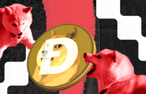 doge-tut-hau