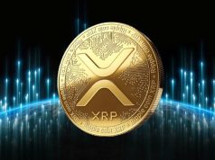 gia-xrp-tang-hon-12-vuot-mat-ca-btc-va-eth-ve-muc-tang-trong-ngay-ly-do