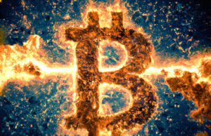 Mô hình đấu giá NFT Bitcoin của Yuga bị chỉ trích là “giấc mơ của những kẻ lừa đảo” nft