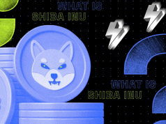 Giá Shiba Inu (SHIB) giảm mạnh, nhưng thời điểm tốt hơn đang đến gần shib-giam