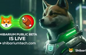Shibarium Public Beta PUPPYNET đi vào hoạt động và đây là lý do tại sao SBF không phải Ryoshi Shibarium