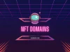 NFT domain name la gi