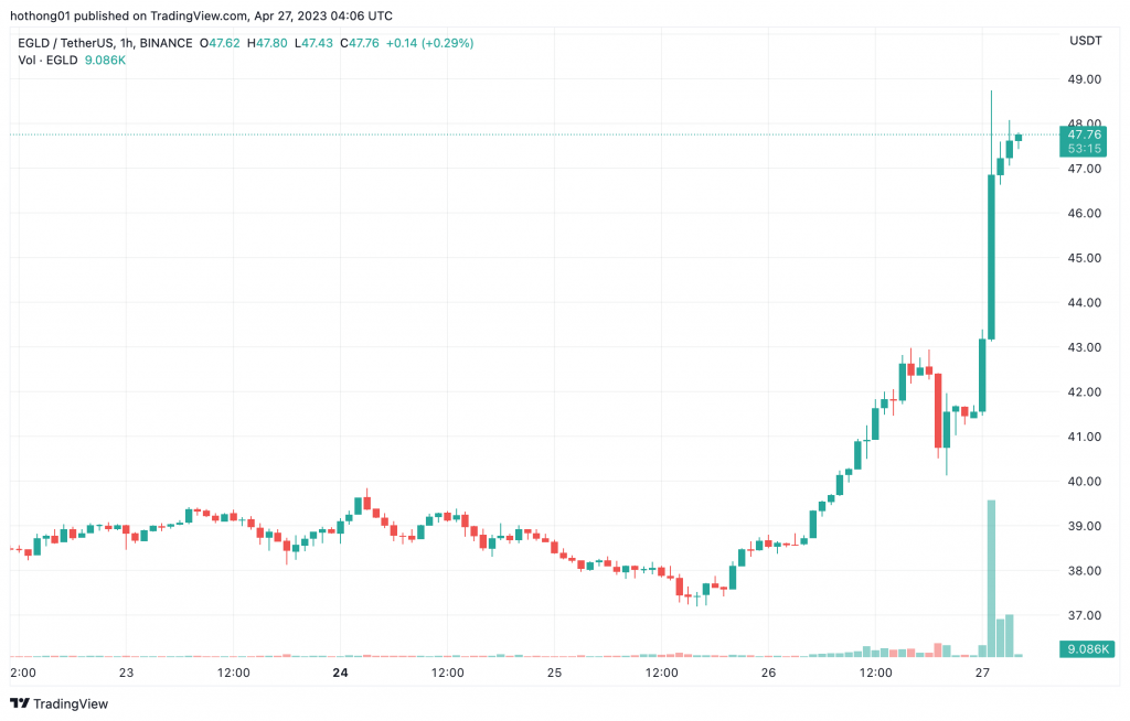 EGLD tăng 20% 