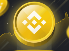 BNB duy trì đà tăng bất chấp sự hỗn loạn trên thị trường tiền điện tử bnb-coin-tang