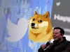 So lieu on-chain Dogecoin dot pump tuong lai