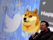 Dogecoin (DOGE) có thể được chú ý khi X của Elon Musk chuẩn bị triển khai thanh toán P2P So lieu on-chain Dogecoin dot pump tuong lai